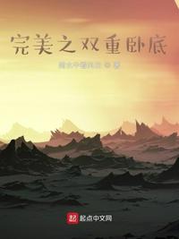 完美之双重卧底